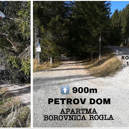 Apartma Borovnica Rogla Vitanje Exterior foto