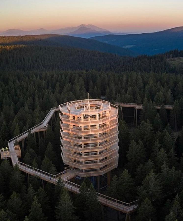 Apartma Borovnica Rogla Vitanje Exterior foto
