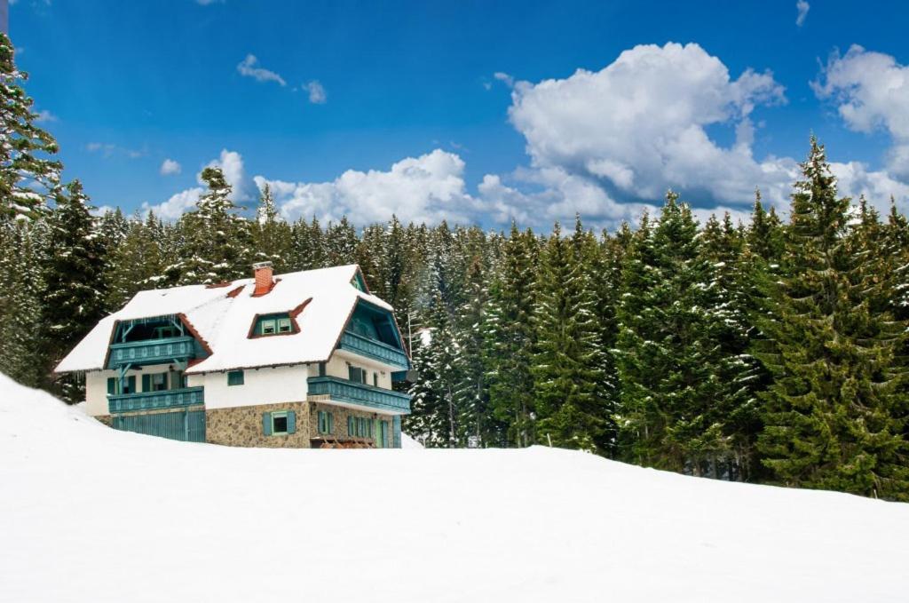 Apartma Borovnica Rogla Vitanje Exterior foto