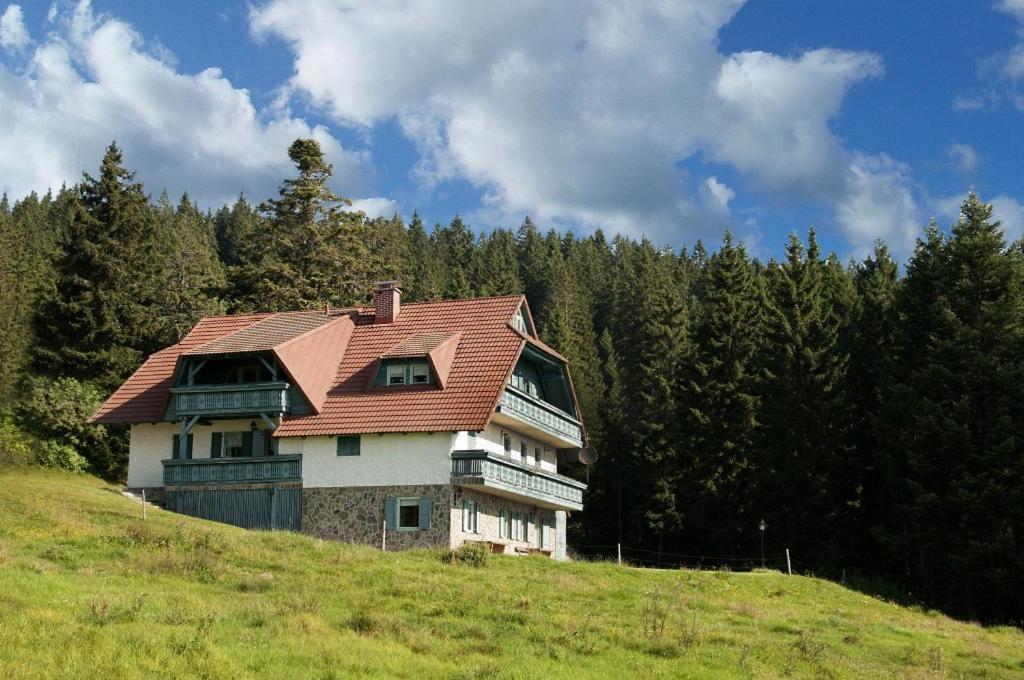 Apartma Borovnica Rogla Vitanje Exterior foto
