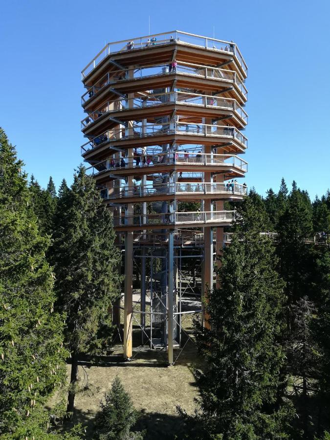 Apartma Borovnica Rogla Vitanje Exterior foto