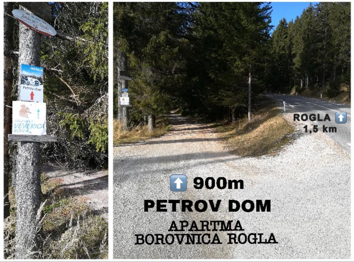 Apartma Borovnica Rogla Vitanje Exterior foto